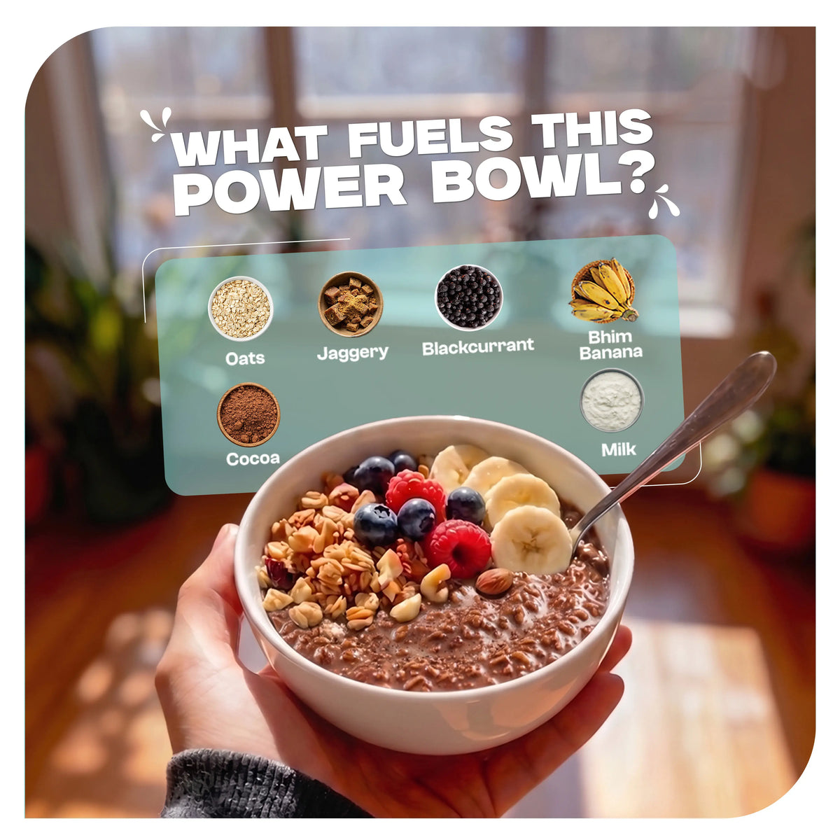 High-Protein Double Chocolate Oats Value Pack – 750g